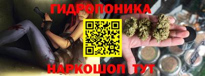 2c-b Будённовск