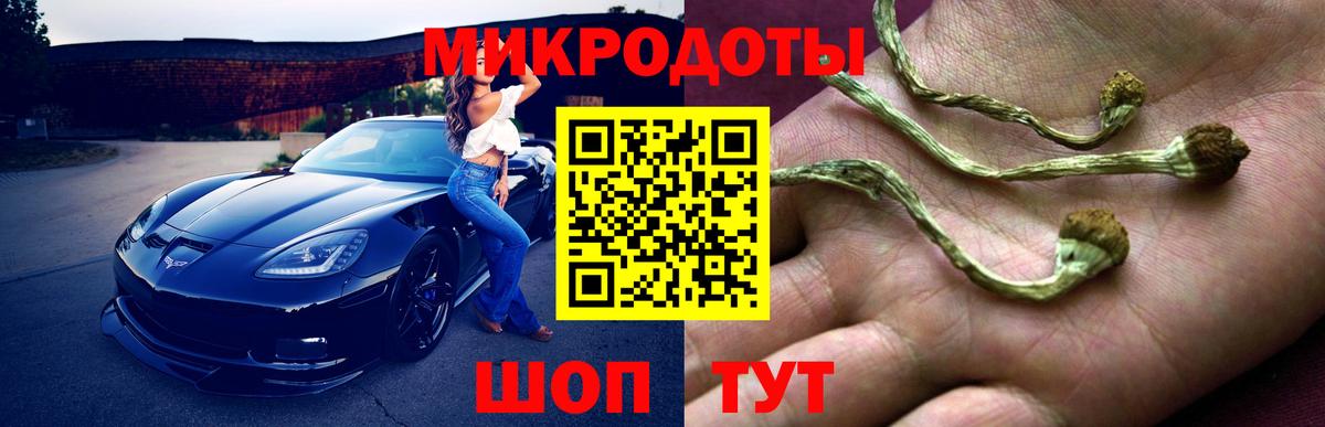 Аксай  Псилоцибиновые грибы Cubensis  Вход с VPN 
